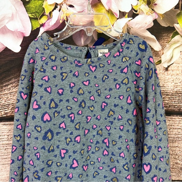 SOLD 🛍️ Oshkosh Toddler Girls Cotton Gray Blue Pink Hearts Flared Hem Dress - Picture 2 of 7